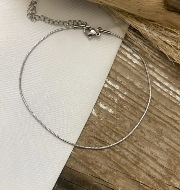 Ατσάλινη Αλυσίδα ποδιού Round Snake Silver